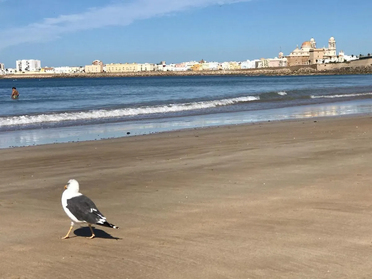 Apartment Molineros Victoria Beach Cadiz Spain